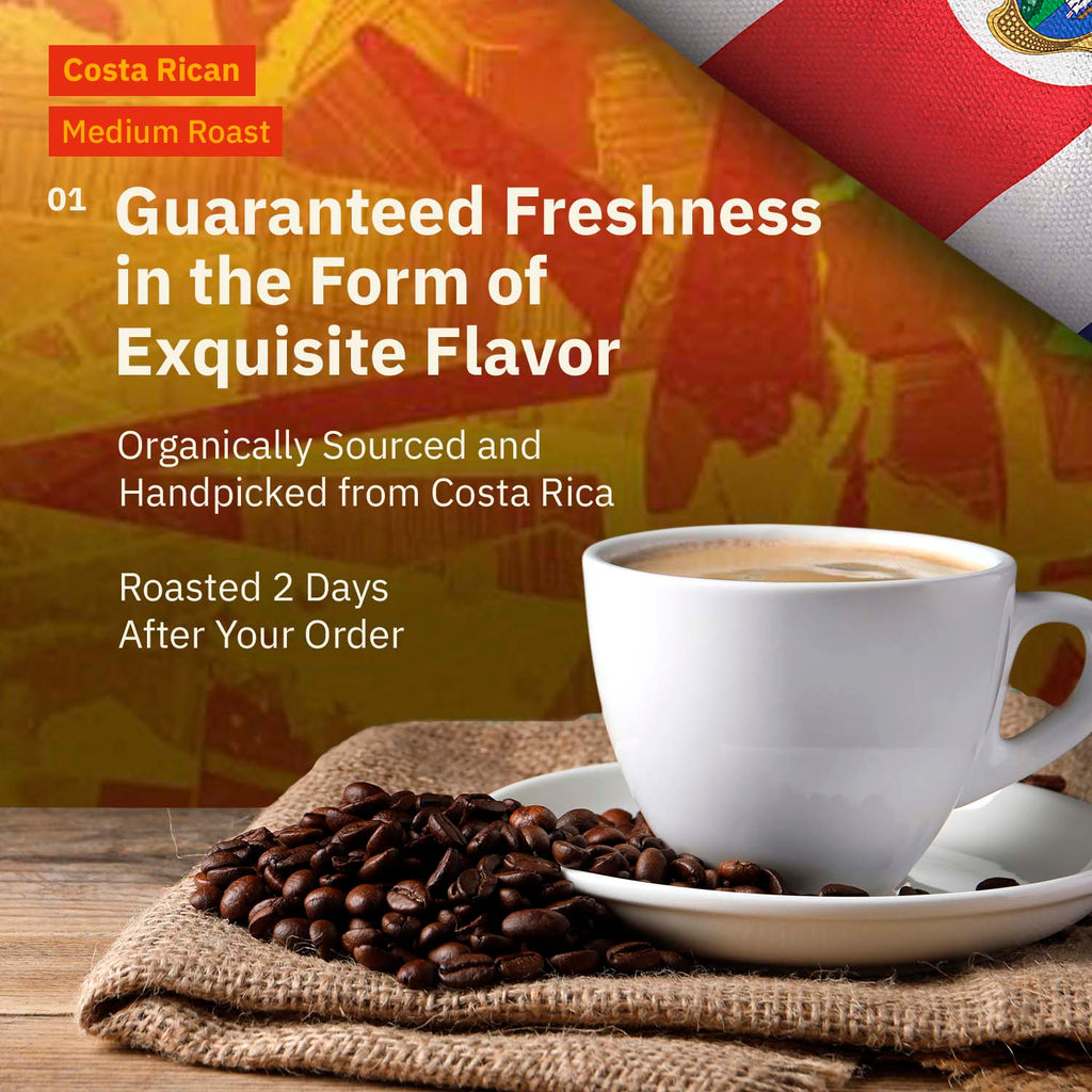 Kochere Coffee Costa Rican Alajuela Medium Light Roast - Sweet Apple, Raisin Notes