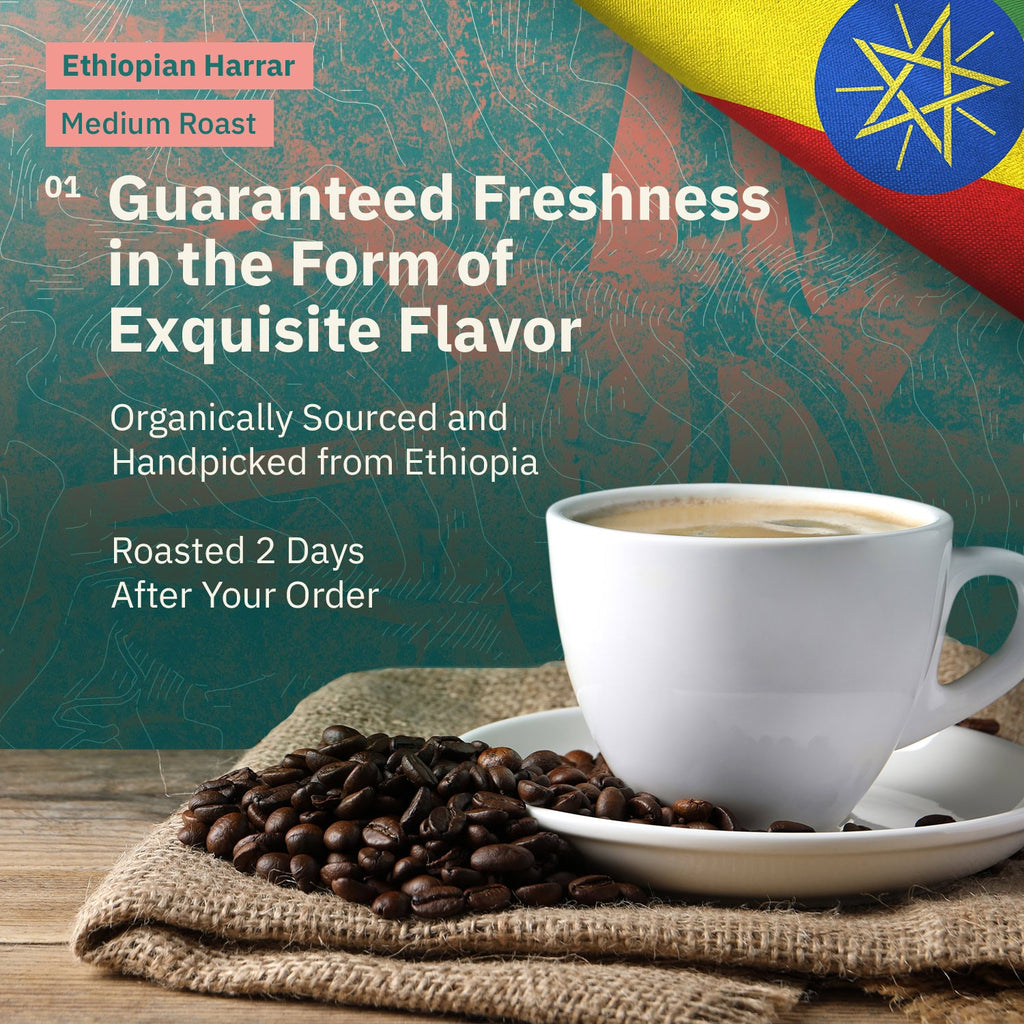 Kochere Coffee Ethiopian Harrar Natural Medium Roast - Fruity, Blueberry, Dark Chocolate Notes